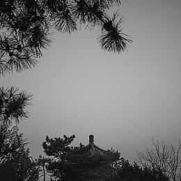 动作类肉鸽游戏《Champion Shift》现已在Steam平台正式发售